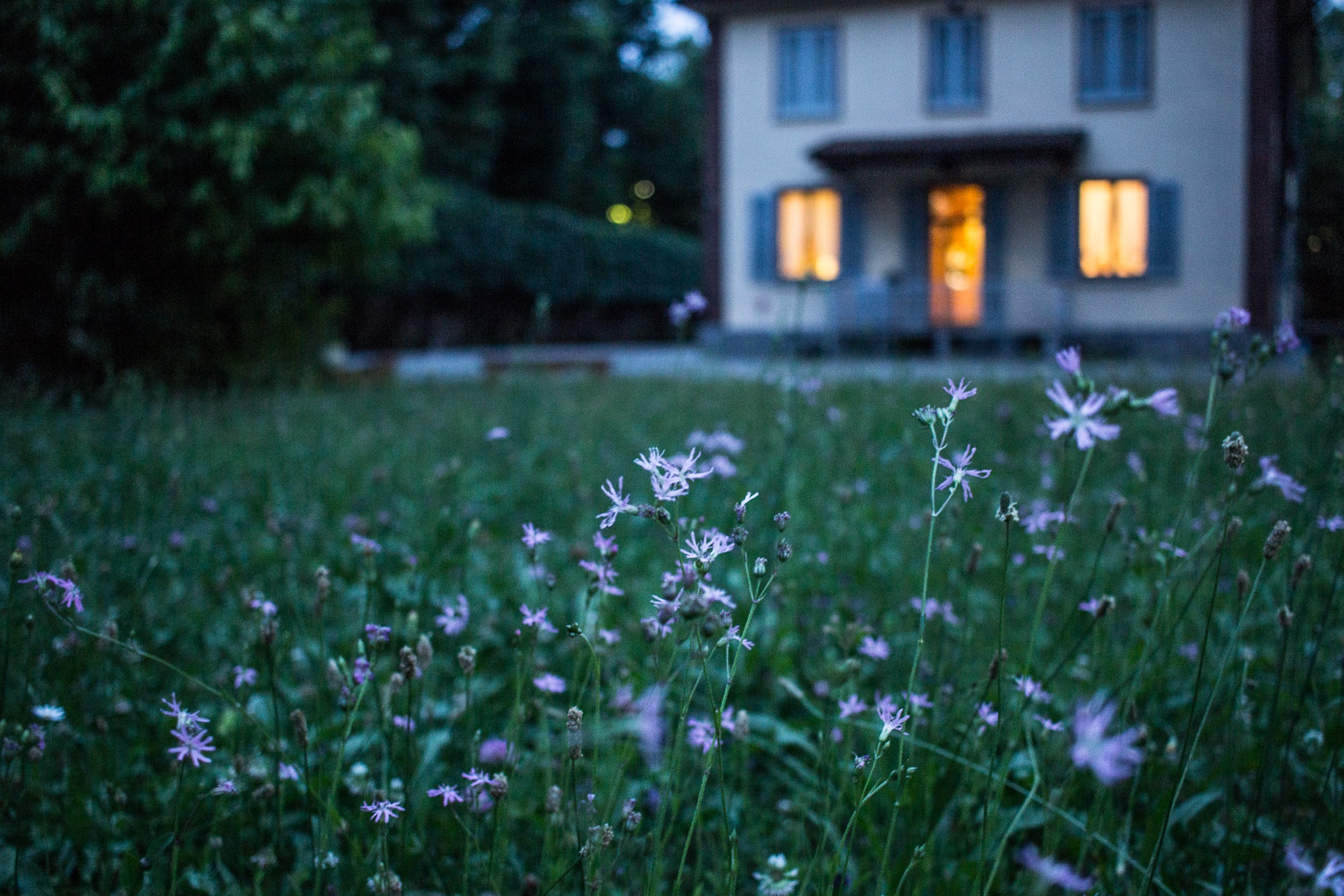 À ceux que j’aime et aimerai toujours