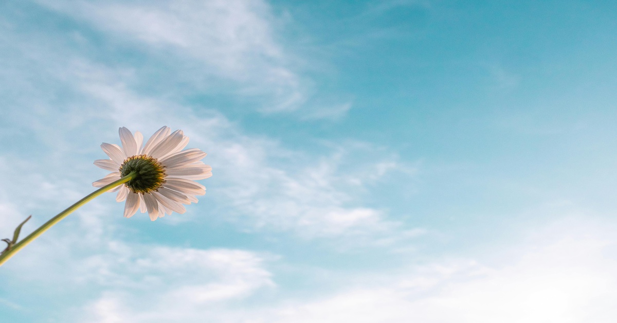 Vivre sa vie pour les autres ou pour soi