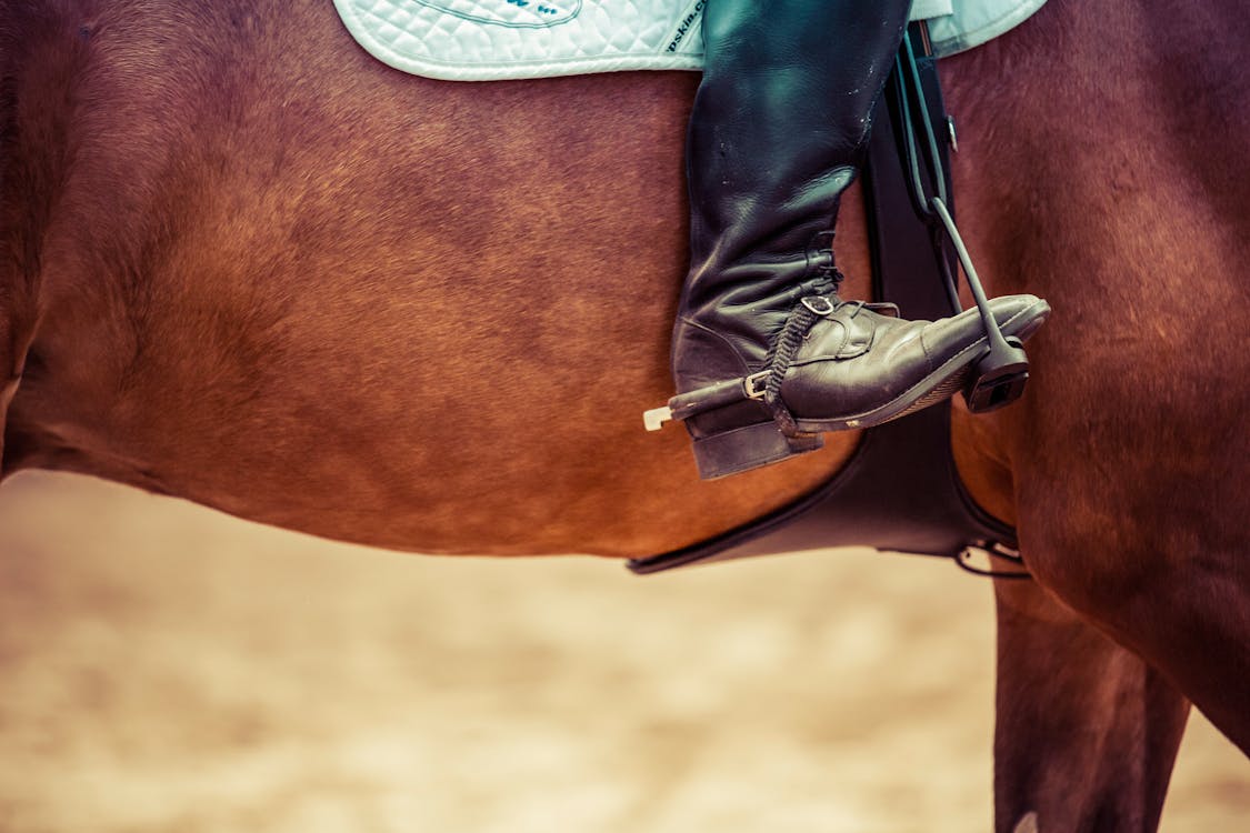 Ode à l'équitation