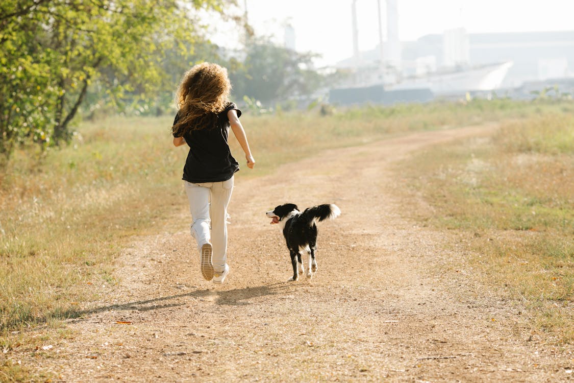 Les animaux et le sport