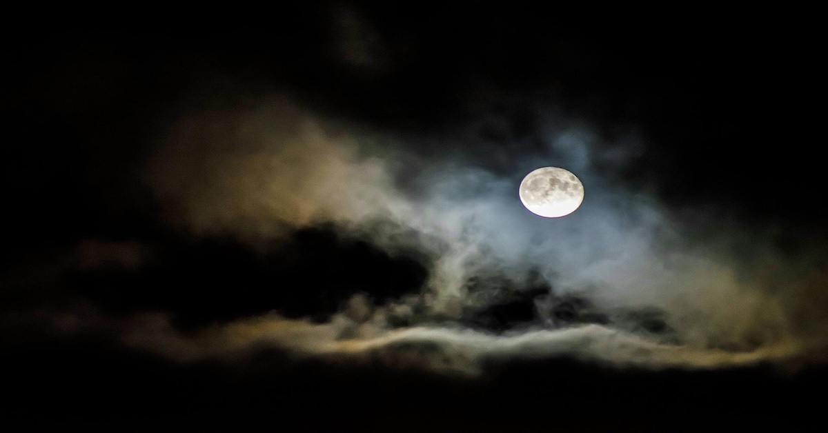 Le loup