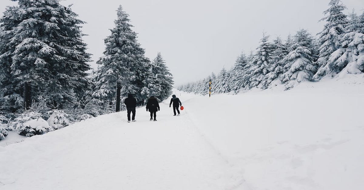 Activités à la Montagne du Diable