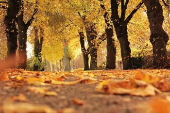 L'équinoxe d'automne