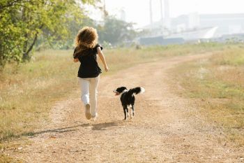 Les animaux et le sport