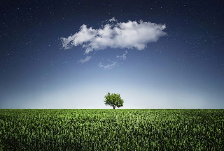 EnviroNOUSment pas