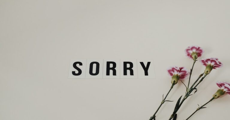 Je m’excuse