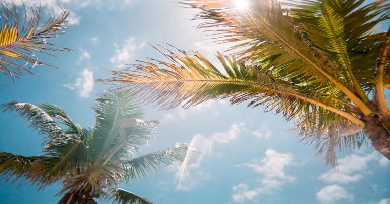 Périple en Floride