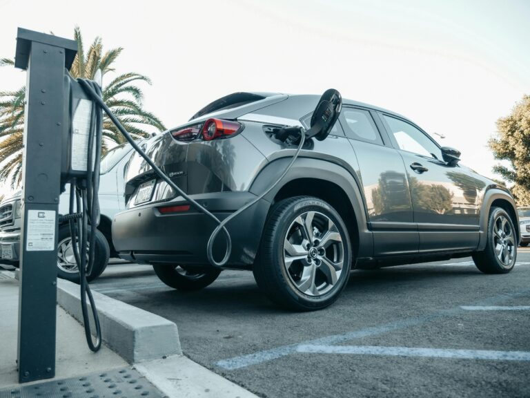 Les voitures électriques : écologiques ou non?