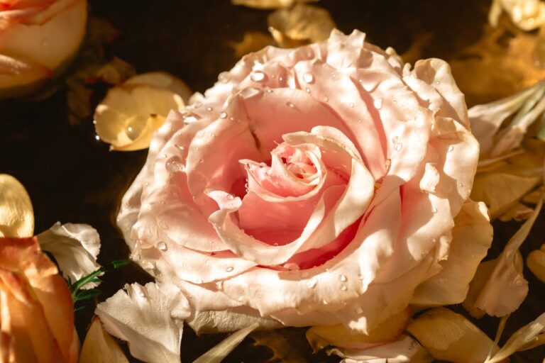 L’amour, c’est possible