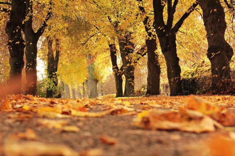 L’équinoxe d’automne
