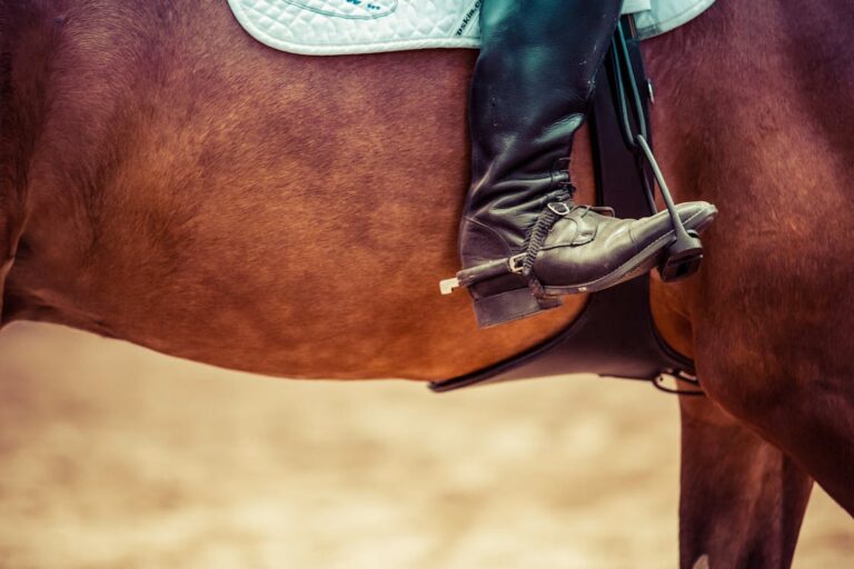 Ode à l’équitation