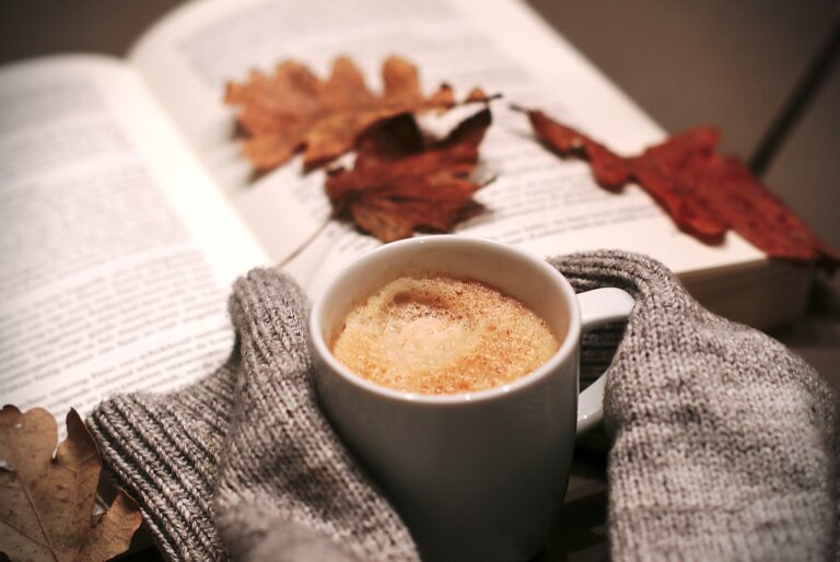 L’arrivée de l’automne