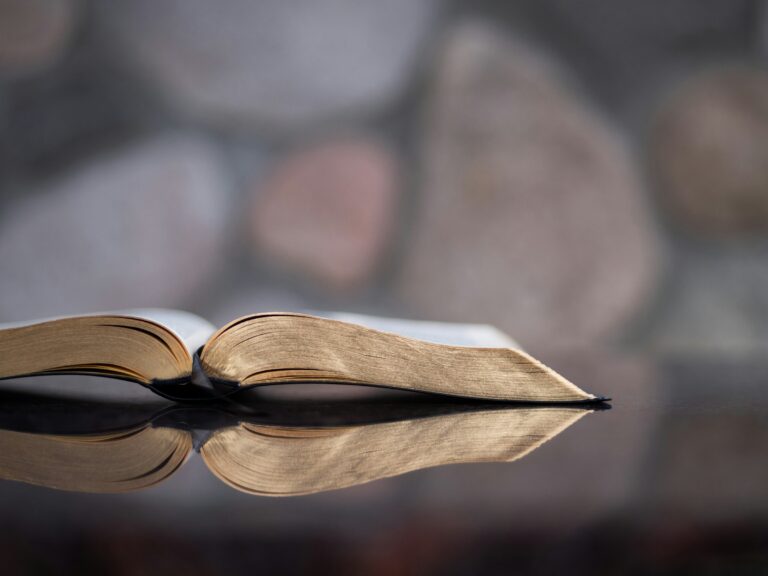 Un livre ouvert