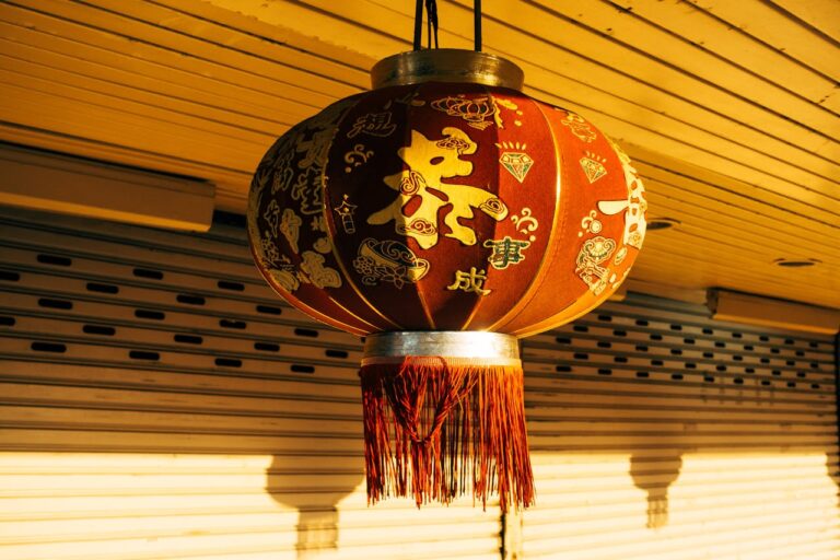 新年快乐 恭喜发财 – Bonne année et prospérité!