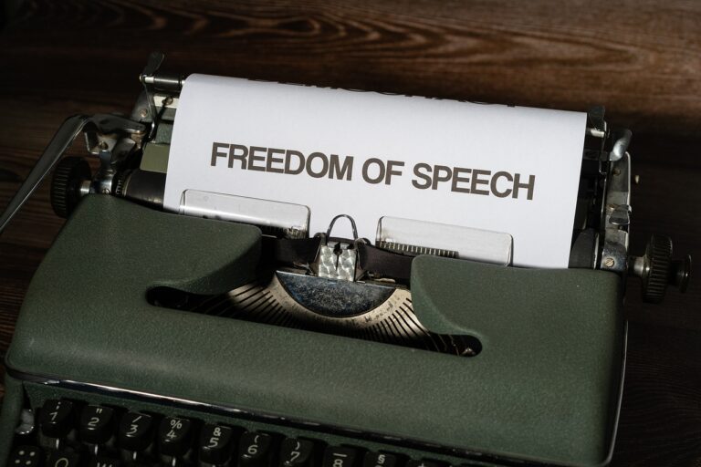La liberté d’expression