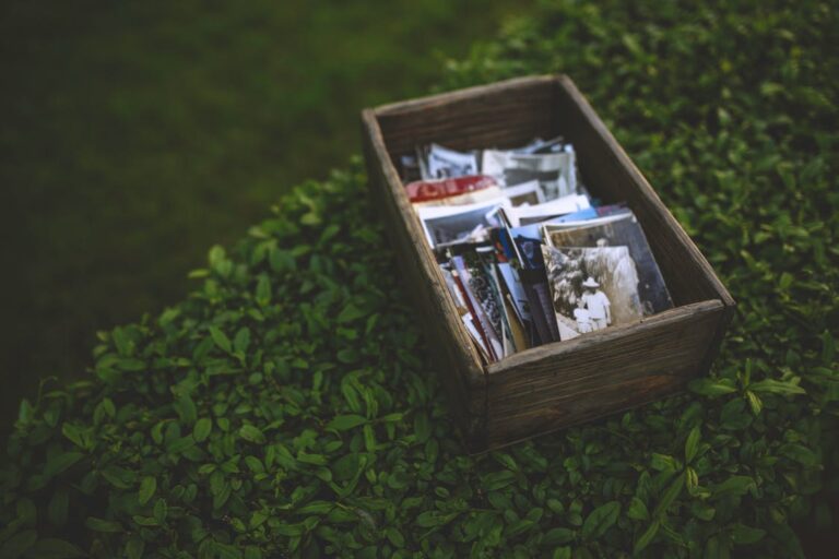 Mes souvenirs douloureux…