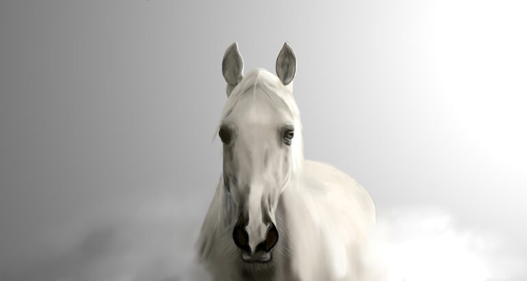 Mon ange gardien…