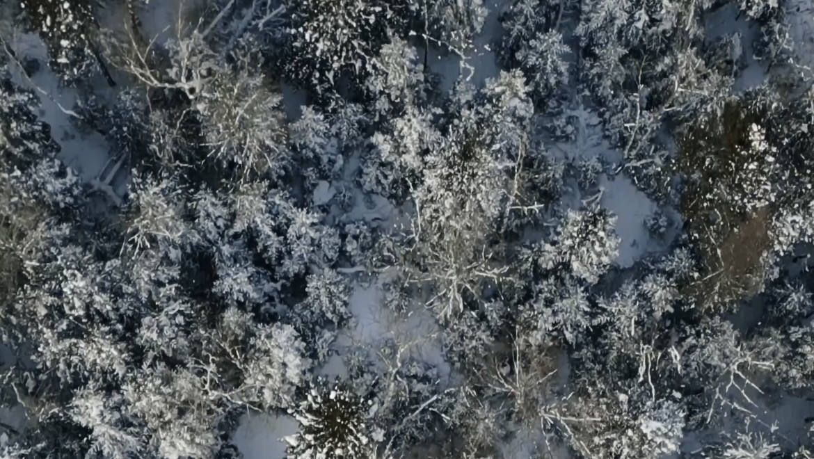 Saison 4 Épisode 3