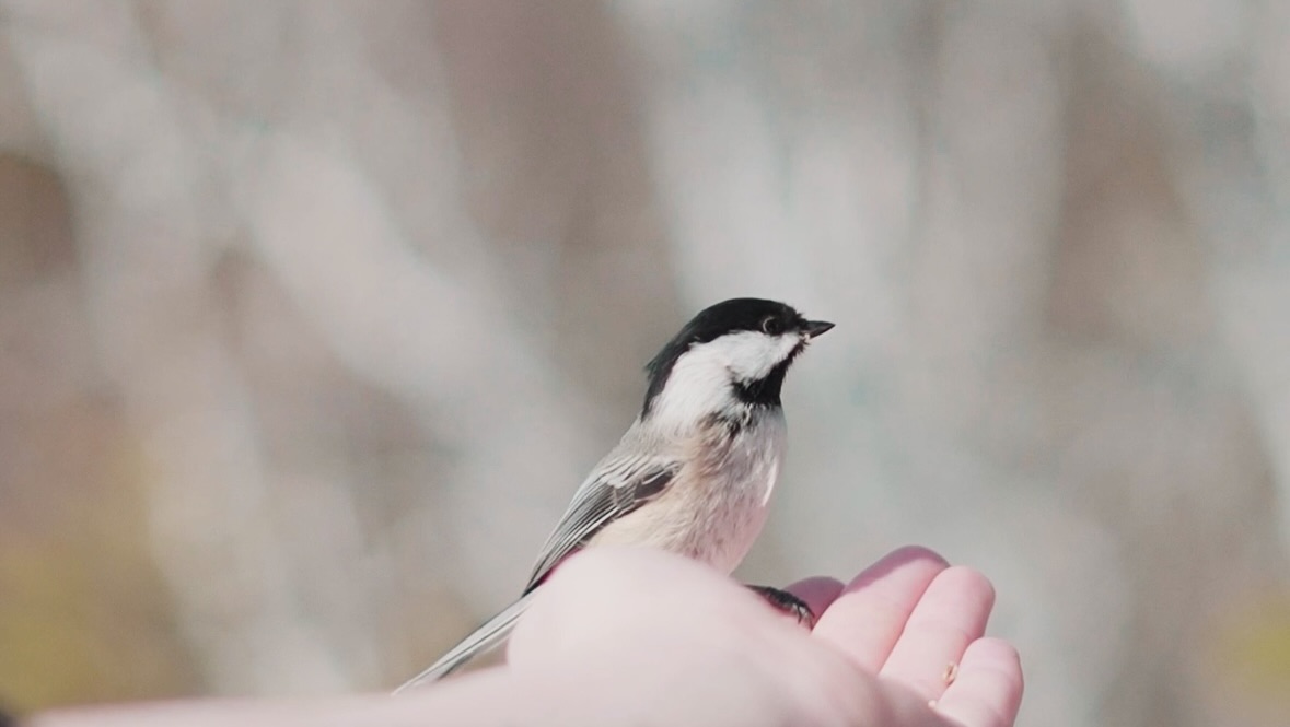 Saison 4 Épisode 6