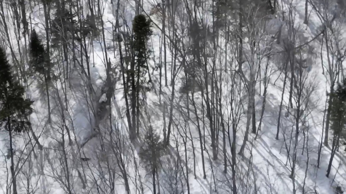 Saison 4 Épisode 7