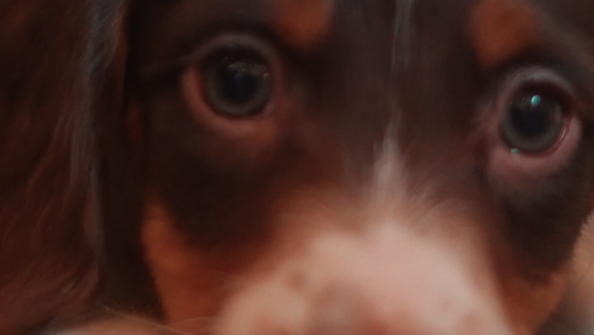 Saison 4 Épisode 11