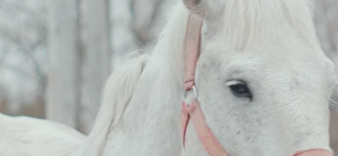 Saison 4 Épisode 13