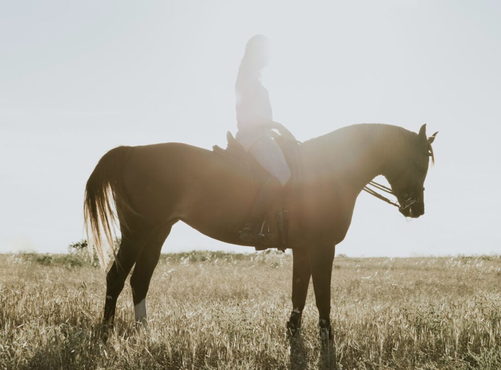 L’équitation : mon monde
