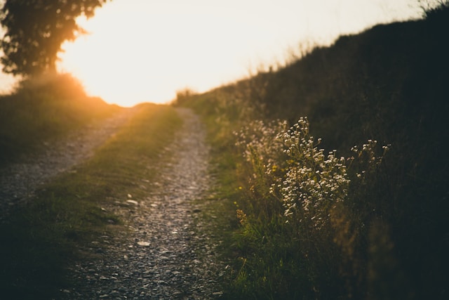 La vie n’attend pas