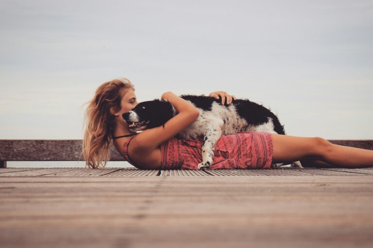 Mon petit griffon korthal