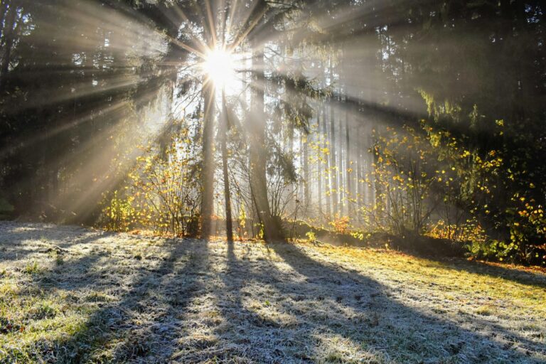 Les sensations du monde