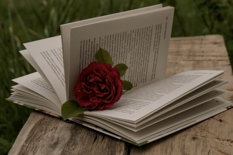 Ma fierté, dois-je la cacher?