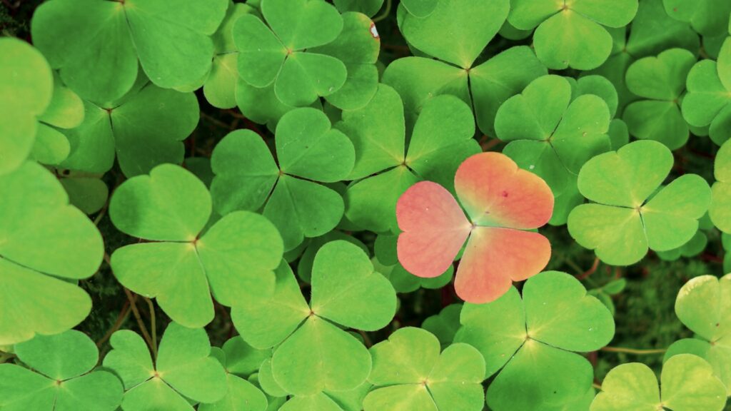 La pression sociale et la différence