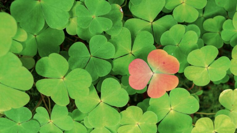 La pression sociale et la différence